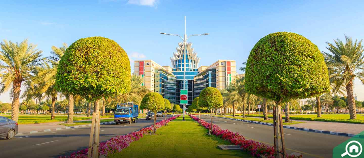 Mattress Cleaning Service Near Silicon Oasis Book Today!